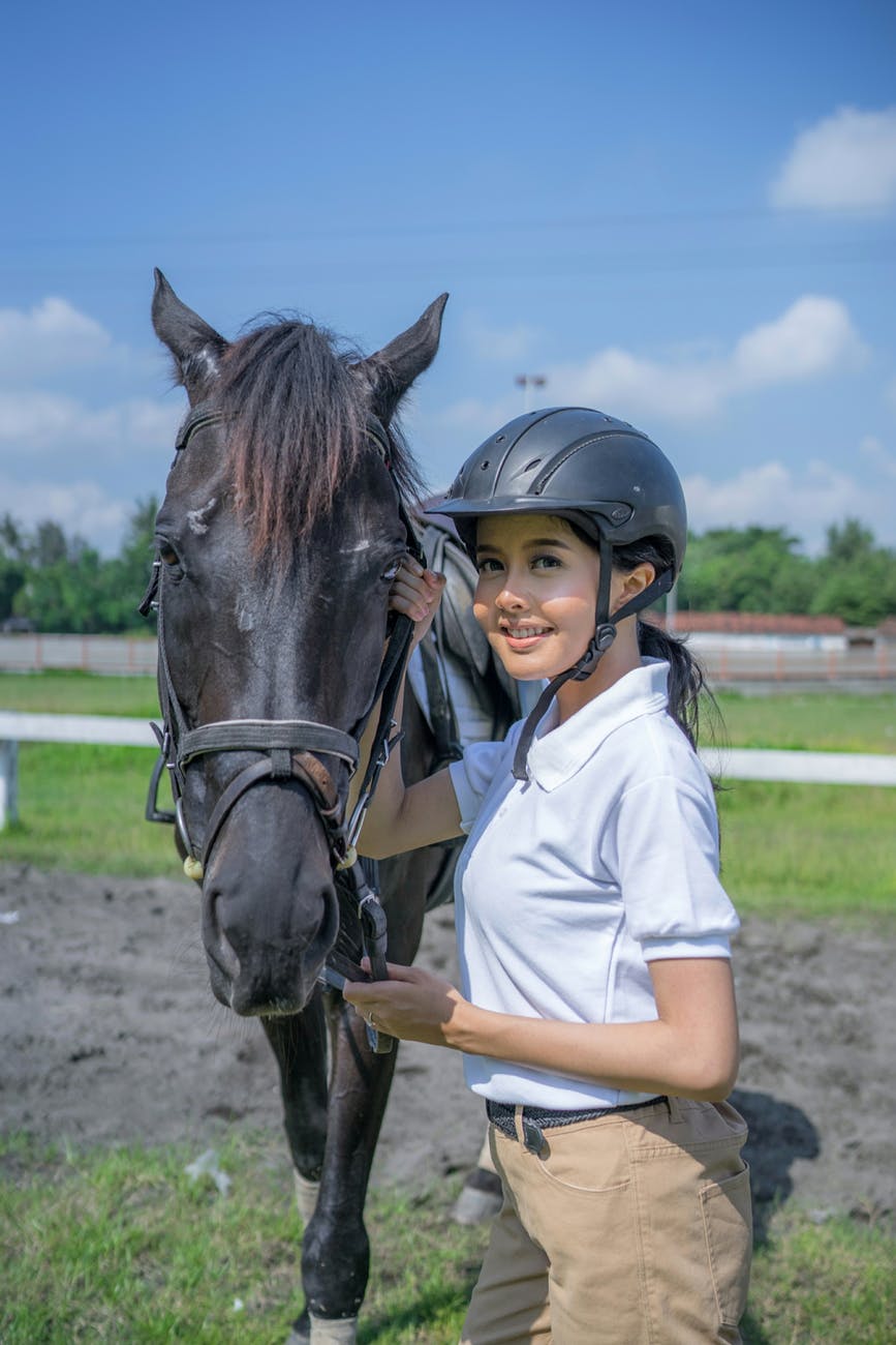 4ème 3ème métiers du cheval alternance